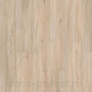 Disano Life Aqua 4V 549077 Дуб юбилейный