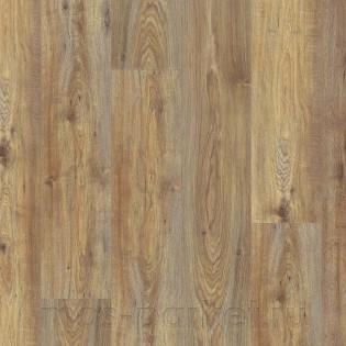 Disano Wave Aqua 4V 548207 Дуб Квебек карамельный