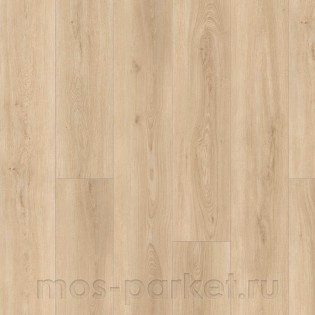 Disano Life Aqua 4V 549069 Дуб Шеффилд Пуро