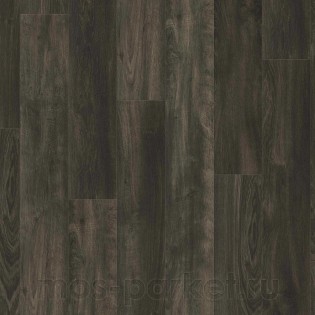 Disano Wave Aqua 4V 548203 Дуб Уистлер базальтовый