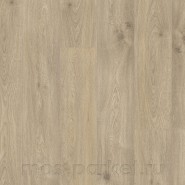 BIO пол Disano Wave Aqua XL 4V 548213 Дуб Уистлер камень серый