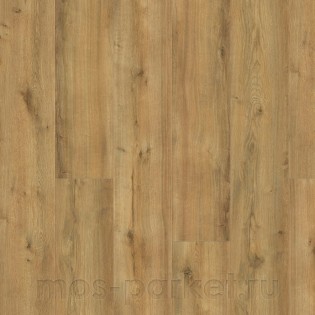 Disano Life Aqua 4V 549085 Дуб пиковый медовый