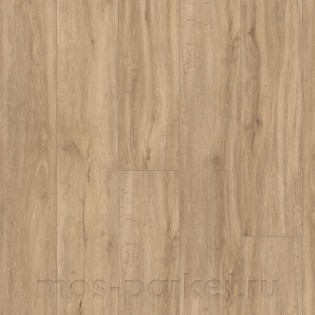 Disano Life Aqua 4V 549073 Дуб песочный