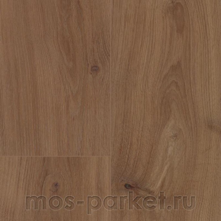БИО полы PURLINE Wineo 1000 Wood XL MLP312R Дуб благородный Шоколад