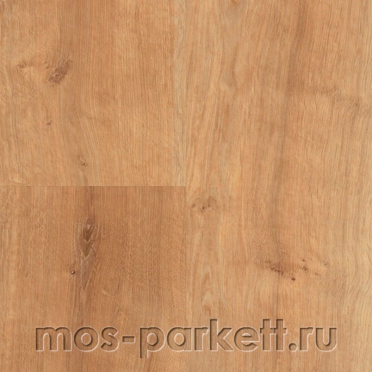 PURLINE Wineo 1500 Wood L PL076C Canyon Oak Honey
