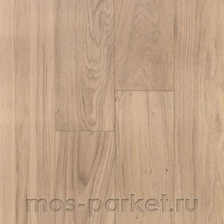 Primavera Oak Disparo 145 mm