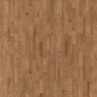 Sommer Konstruktor Дуб Карлскруна браш