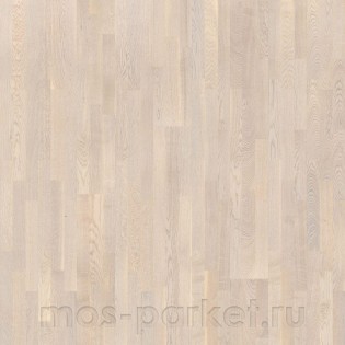 Sommer Konstruktor Дуб Ханаског