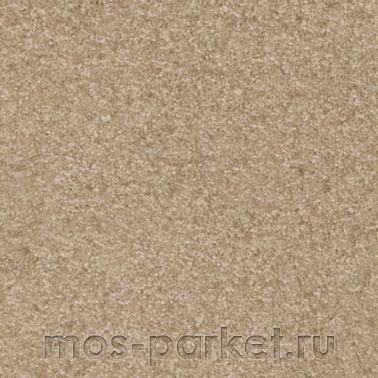 Бытовой ковролин AW Masquerade Porzia 39