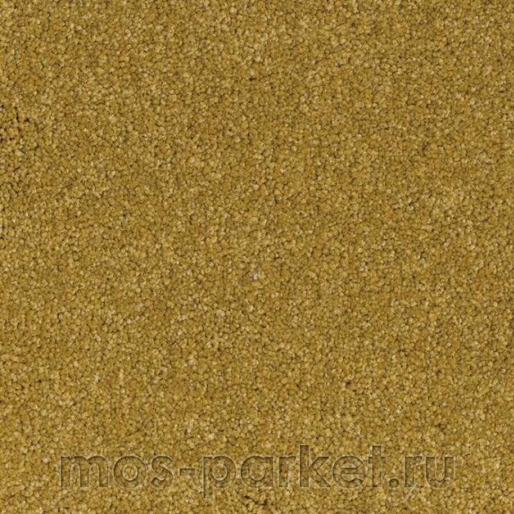 Бытовой ковролин AW Vivendi Aura 54