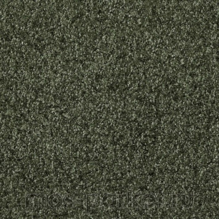 Бытовой ковролин AW Gaia Equator 24
