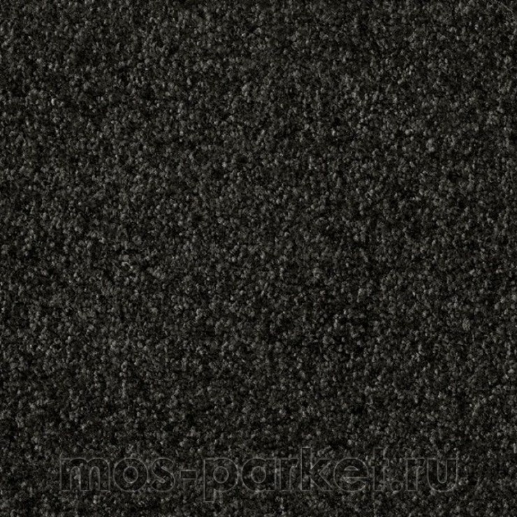 Бытовой ковролин AW Gaia Meridia 99
