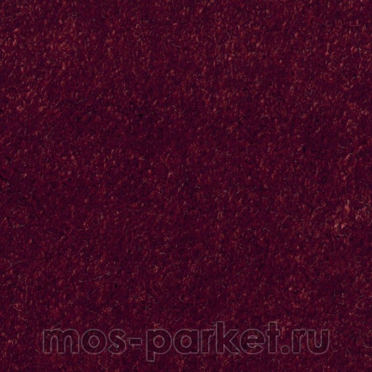 Бытовой ковролин AW Masquerade Euphoria 11