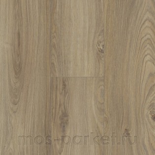 Alloc Grand Avenue 8520 КуДамм