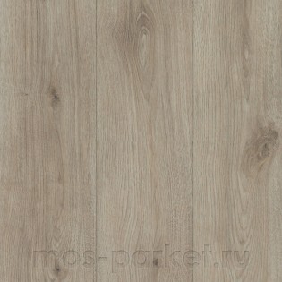 Alloc Original 04568 Дуб Дюна