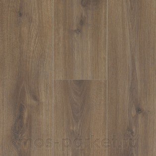 Alloc Original 04570 Дуб Индийский