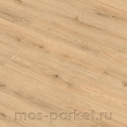Ламинат Arteo 8 M WR 62757 Дуб Намиб