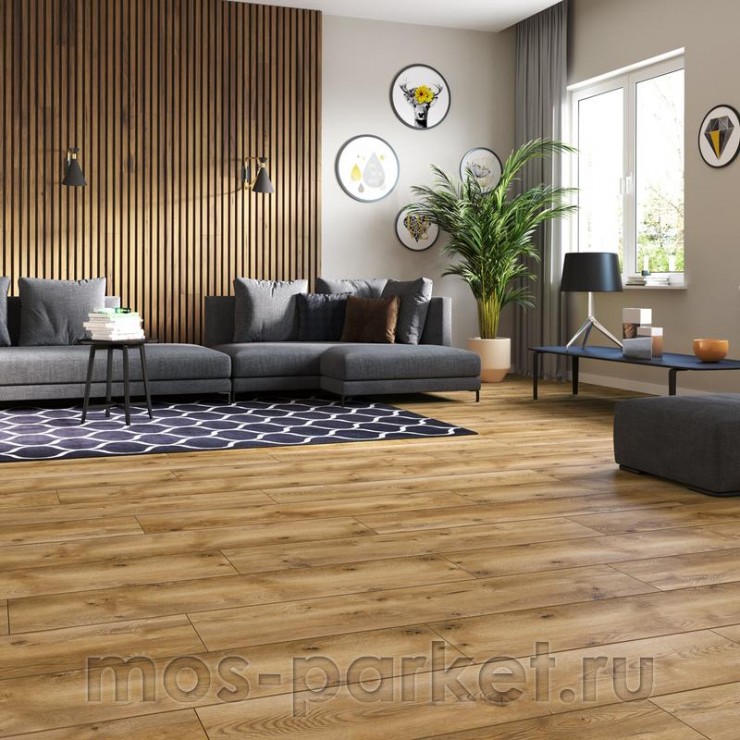 Ламинат Classen Harmony Forte WR 55959 Дуб Аван