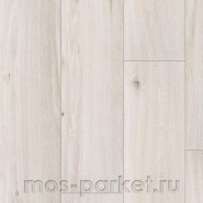 Ламинат Classen Harmony Forte WR 56611 Дуб Дорадо