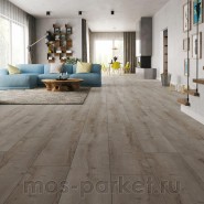 Ламинат Classen Harmony Forte WR 56613 Дуб Трудент