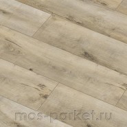 Ламинат Classen Harmony Forte WR 56613 Дуб Трудент