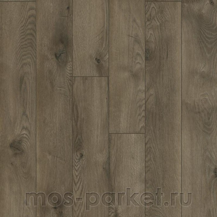 Ламинат Classen Legend 4V WR 54781 Дуб Данди