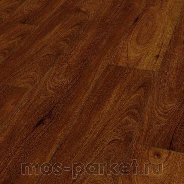 Falquon Blue Line Wood D2913 Canyon Andiroba