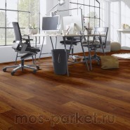 Falquon Blue Line Wood D2913 Canyon Andiroba