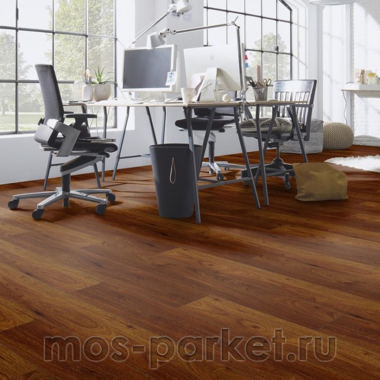 Falquon Blue Line Wood D2913 Canyon Andiroba