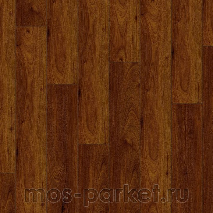 Falquon Blue Line Wood D2913 Canyon Andiroba