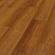 Falquon Blue Line Wood D2916 Plateau Merbau