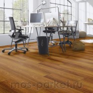 Falquon Blue Line Wood D2916 Plateau Merbau