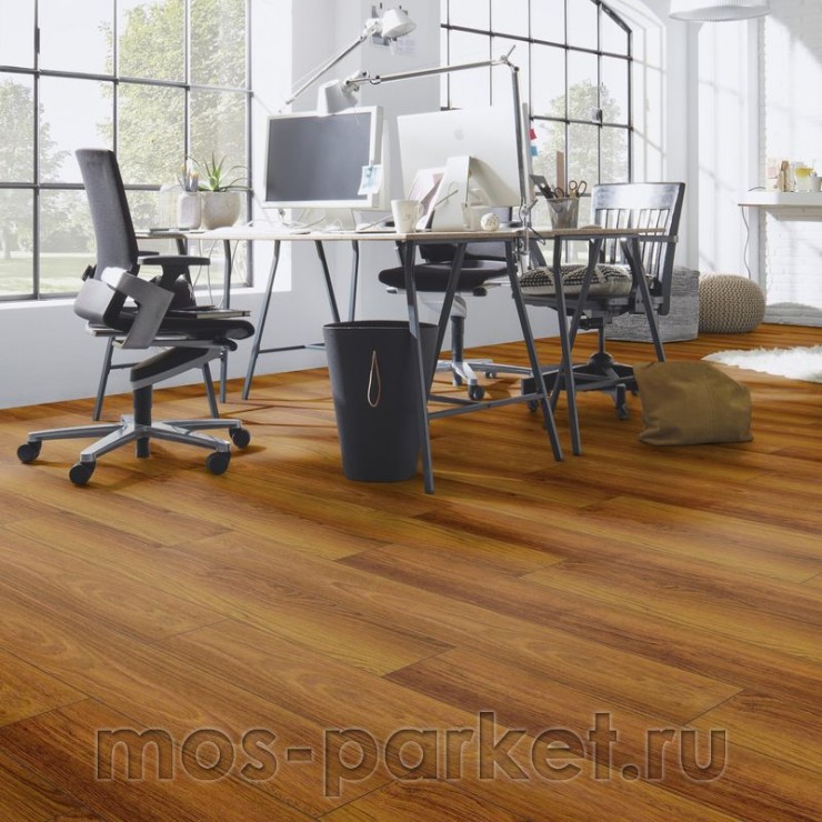 Falquon Blue Line Wood D2916 Plateau Merbau