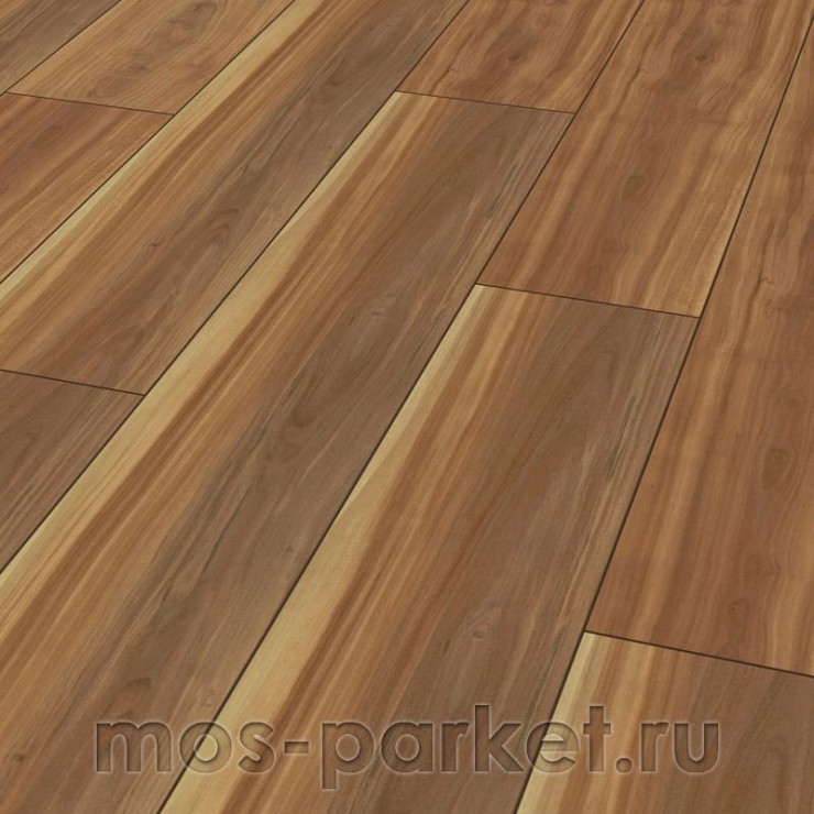 Falquon Blue Line Wood D2919 Canyon Plum