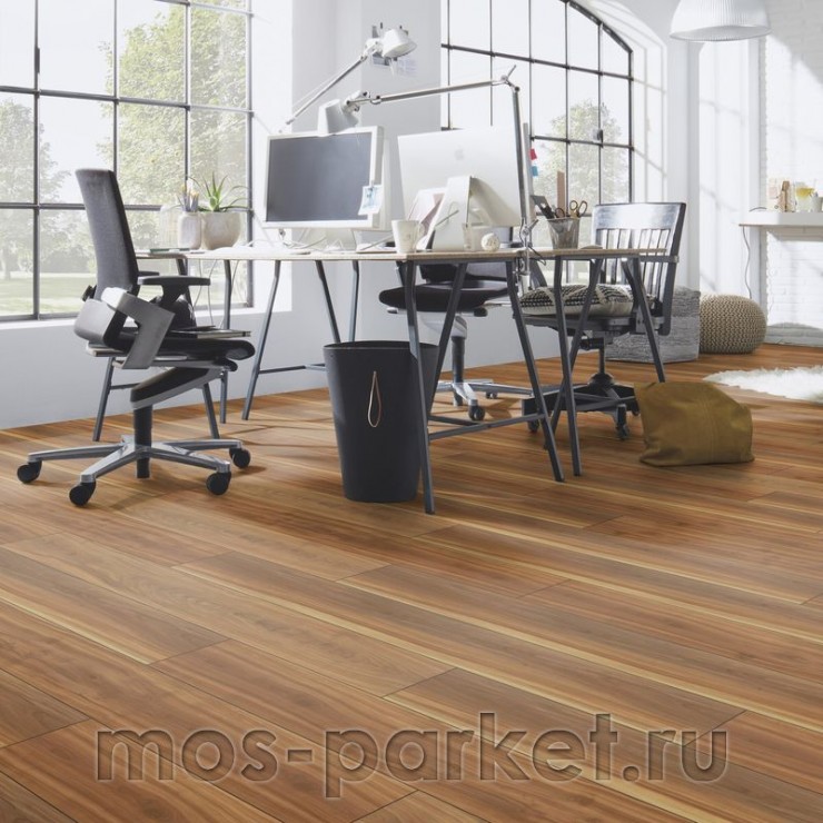 Falquon Blue Line Wood D2919 Canyon Plum