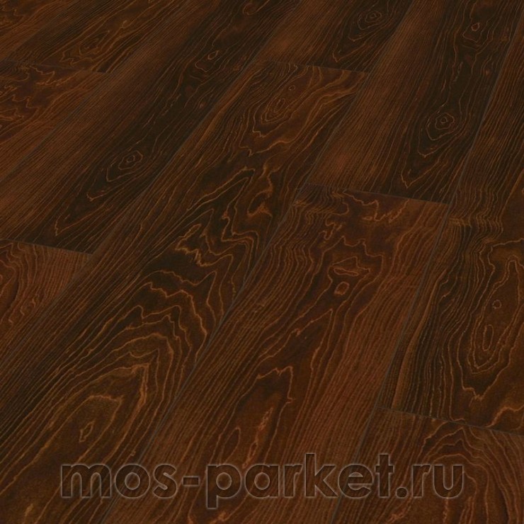 Falquon Blue Line Wood D2920 Plateau Maple