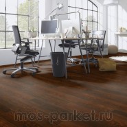 Falquon Blue Line Wood D2920 Plateau Maple
