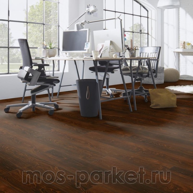 Falquon Blue Line Wood D2920 Plateau Maple