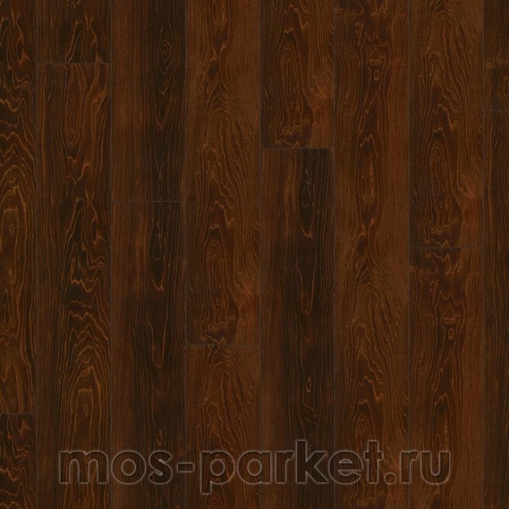 Falquon Blue Line Wood D2920 Plateau Maple