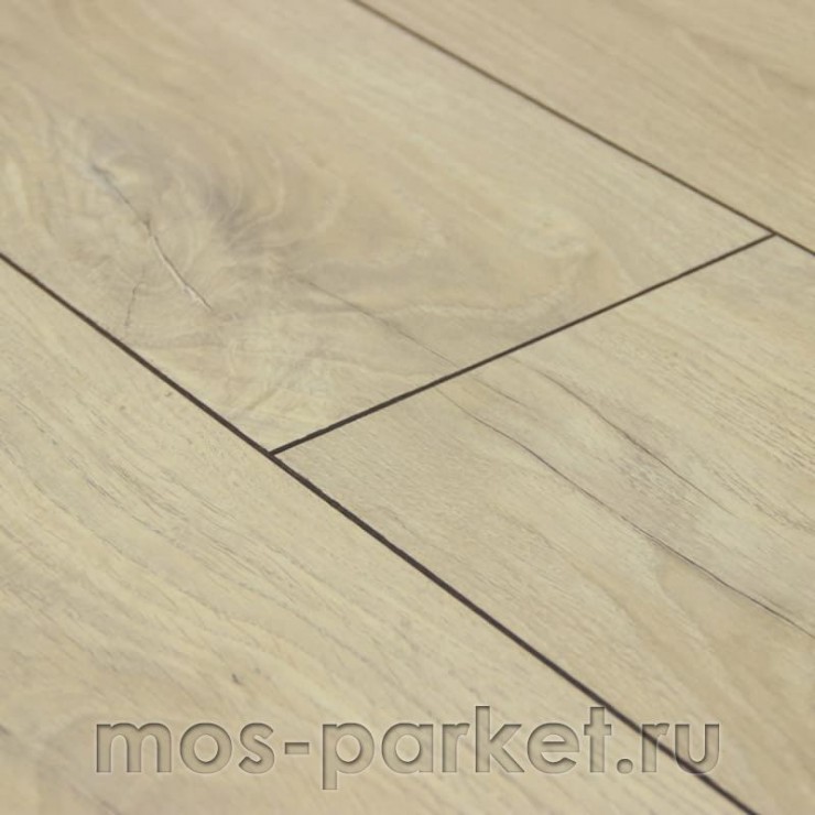 Falquon Blue Line Wood D3545 Winzer Oak
