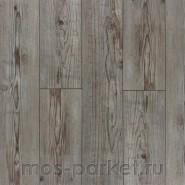 Falquon Blue Line Wood D3546 Prignitz Pine