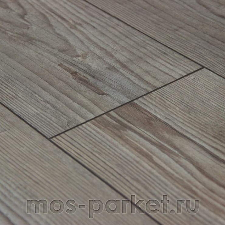 Falquon Blue Line Wood D3546 Prignitz Pine