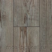 Falquon Blue Line Wood D3546 Prignitz Pine