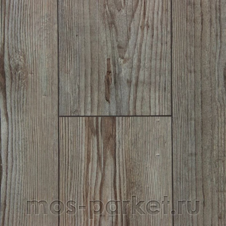 Falquon Blue Line Wood D3546 Prignitz Pine