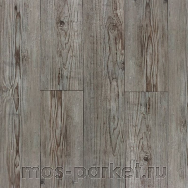 Falquon Blue Line Wood D3546 Prignitz Pine