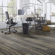 Falquon Blue Line Wood D3686 Canyon Black Oak