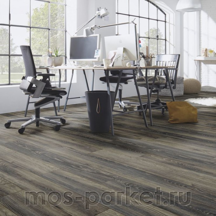Falquon Blue Line Wood D3686 Canyon Black Oak