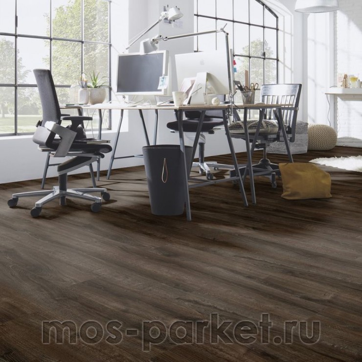 Falquon Blue Line Wood D3688 Malt Oak