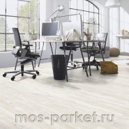 Falquon Blue Line Wood D4181 Aragon Oak