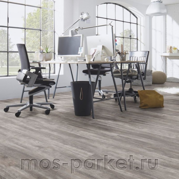 Falquon Blue Line Wood D4187 White Oak